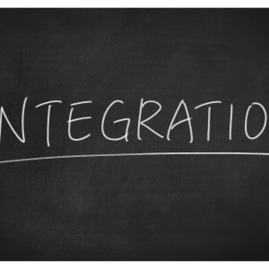 Customisation & Integration Support